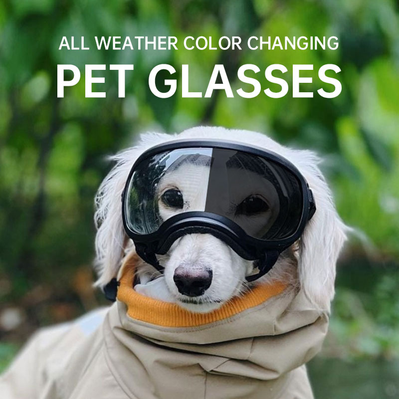 Óculos para animais de estimaç - Snow Goggle Uv avaliação e preço