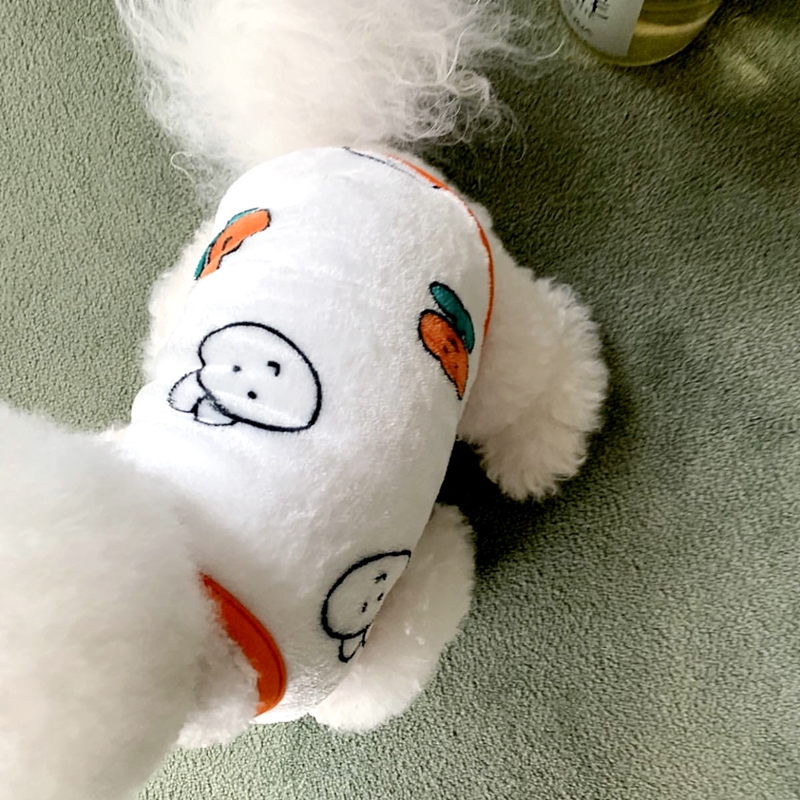 Pequeno Cão Coelho Padrão Cole - Winter Clothing Patterns avaliação e preço